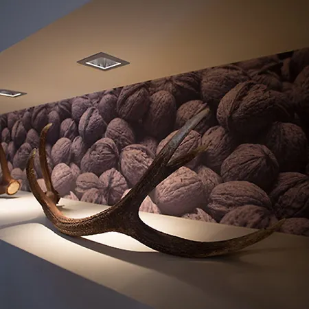 Boutiquehotel Weisses Rössl Innsbruck