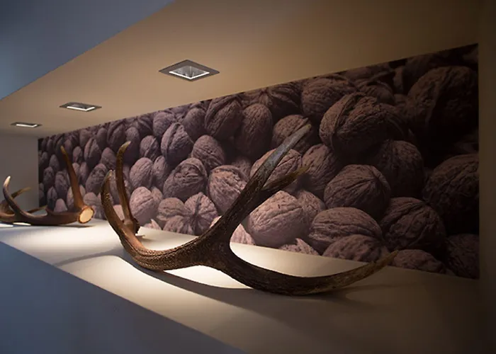 Boutiquehotel Weisses Roessl 因斯布鲁克